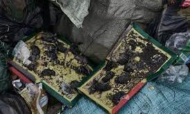 Ukraine war Ukraine war