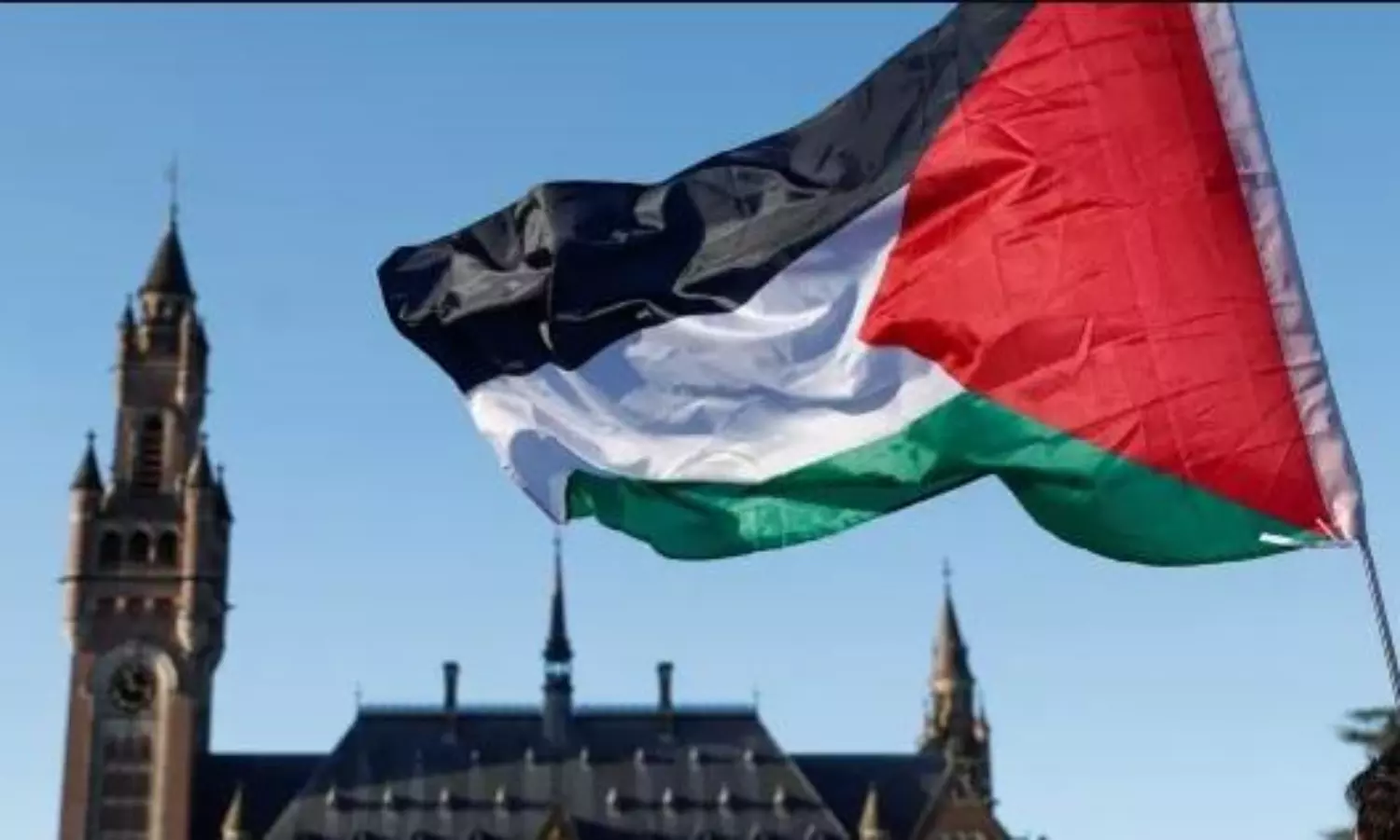 S African FM Pandor says Palestinian crisis presents opportunity to reform UN