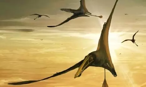 Fossil of flying reptile from Middle Jurassic Period discovered