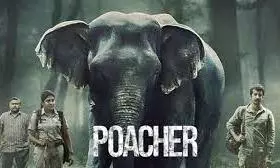 poacher