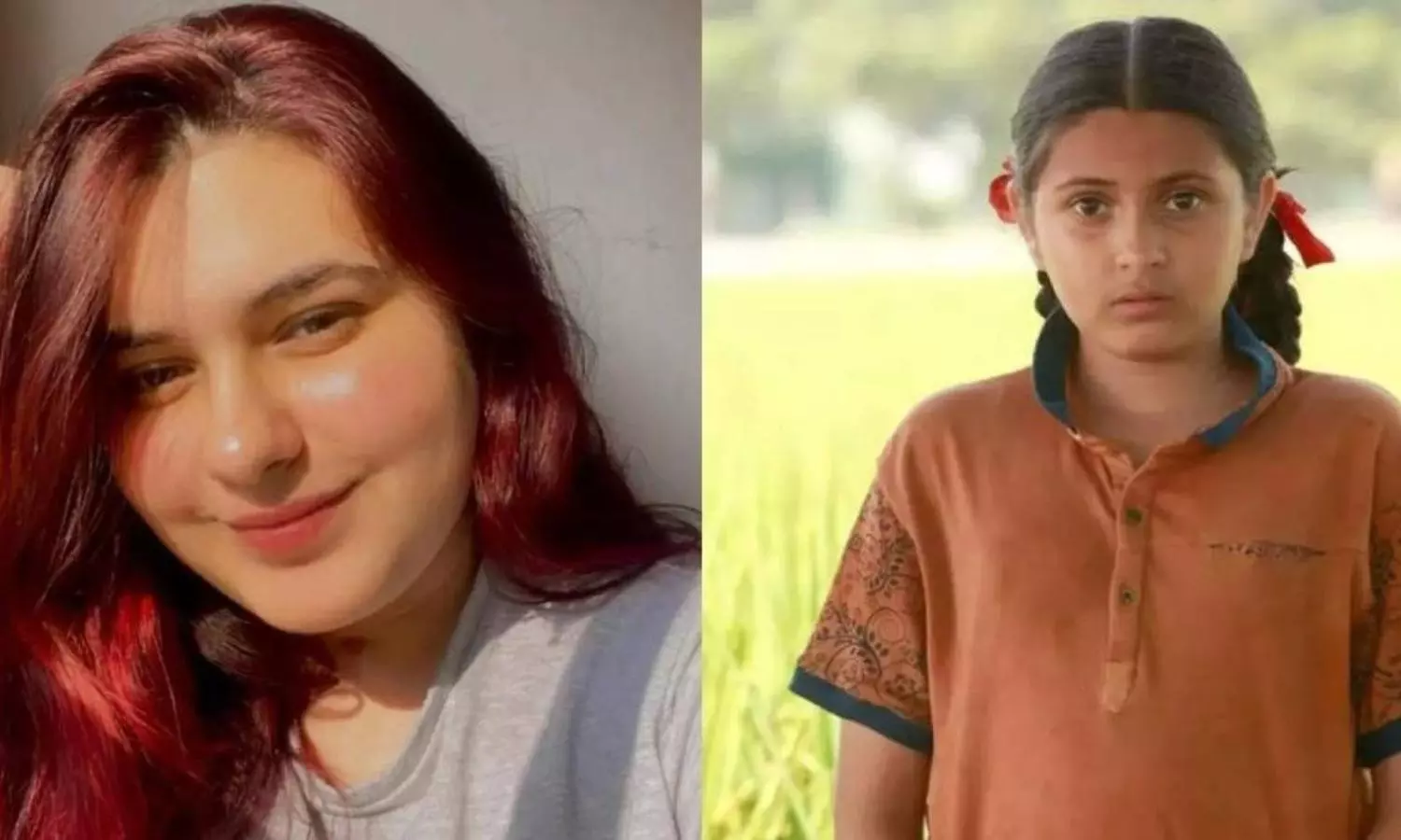 Aamir Khans Dangal child actor Suhani Bhatnagar dies aged 19