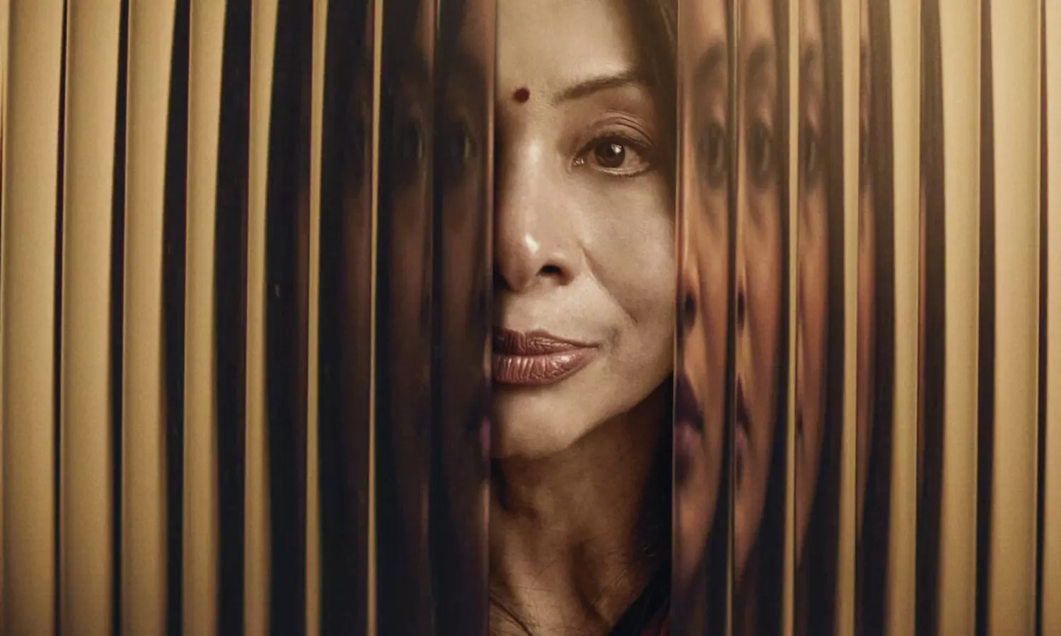 CBI moves court against Netflixs show on Indrani Mukerjea