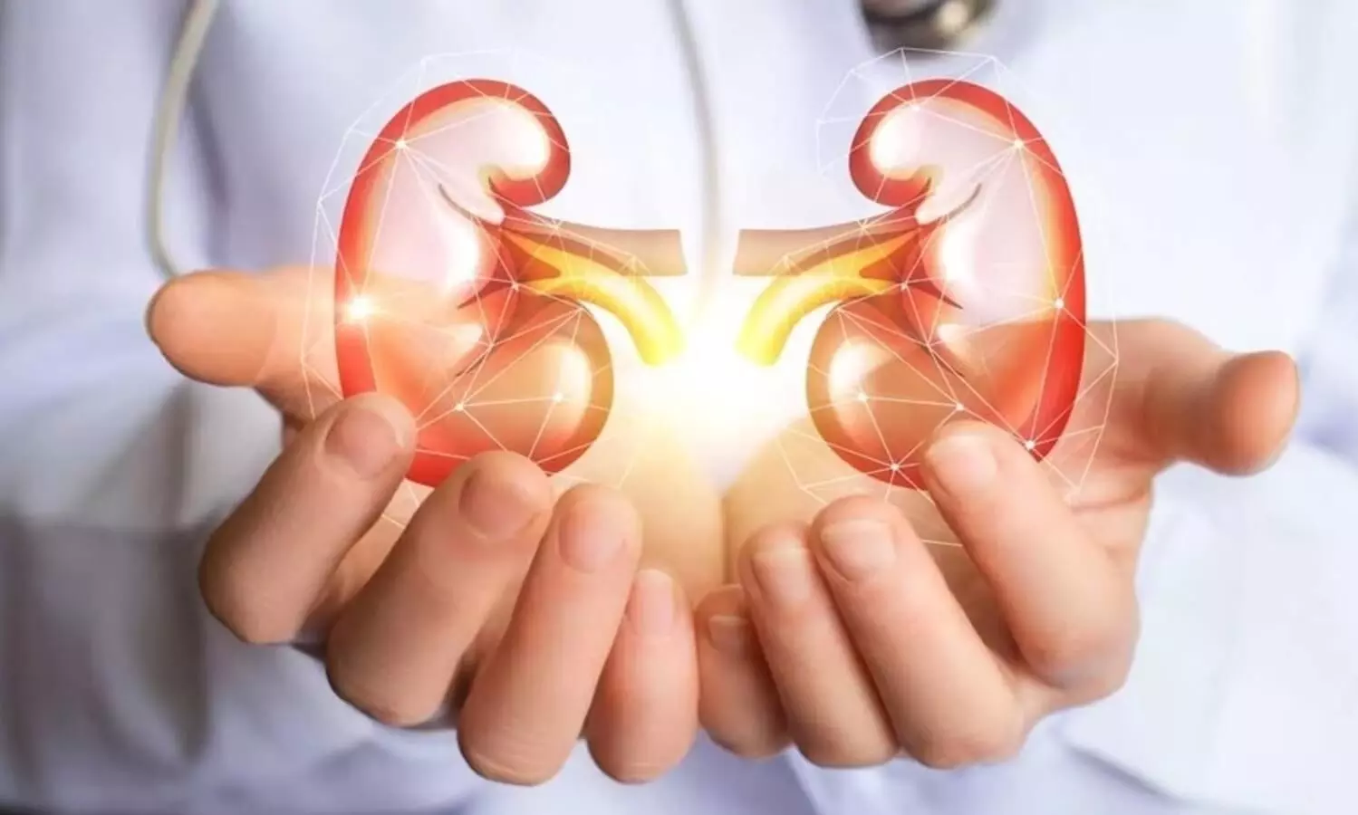Antibiotic misuse: Nephrologists stress awareness on kidney damage