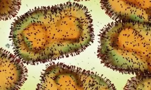 Study shows how mpox virus affects brain cells
