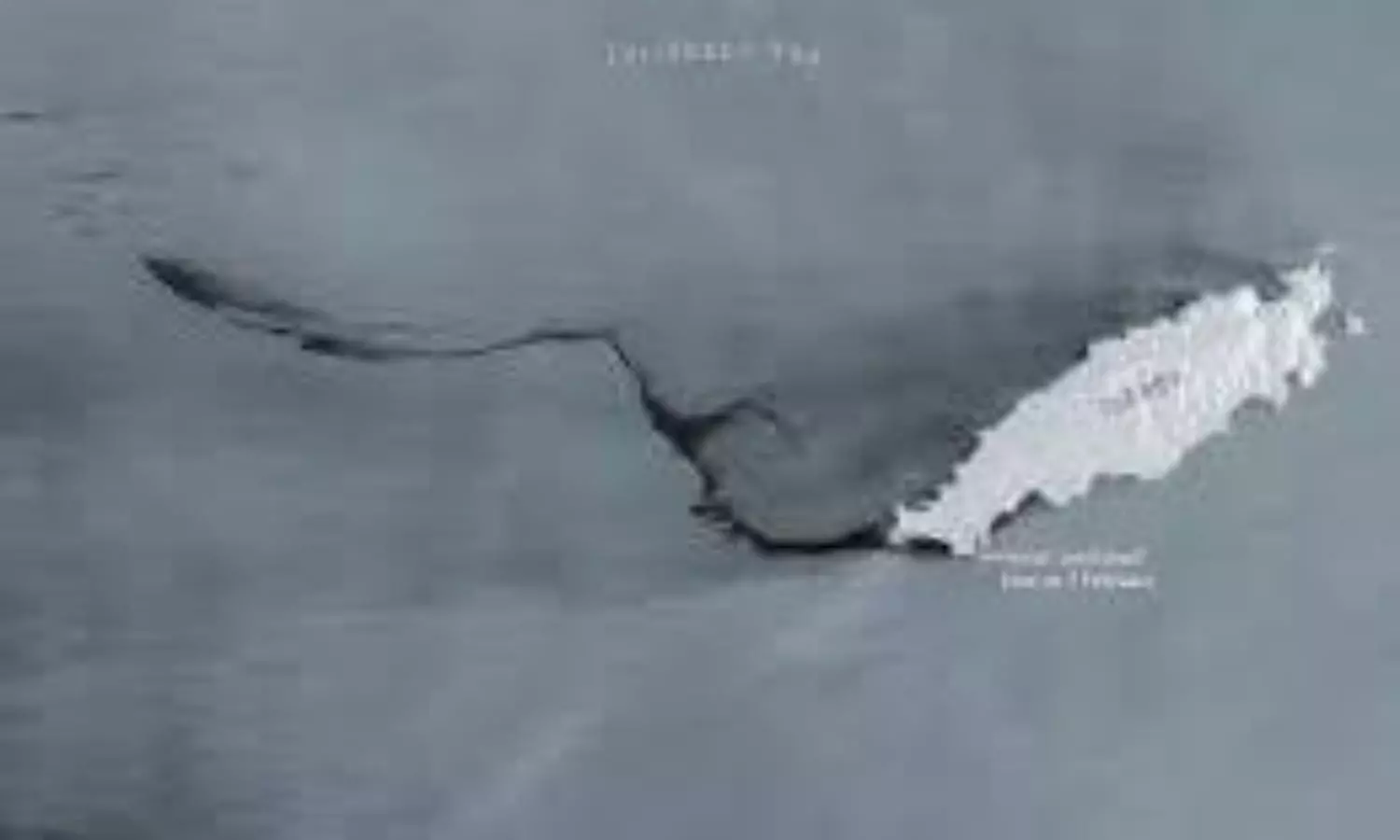 Caribbean oil spill