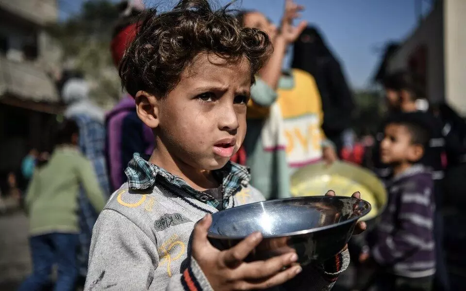 Animal fodder, leaves; Gazans go to dire lengths to satiate hunger
