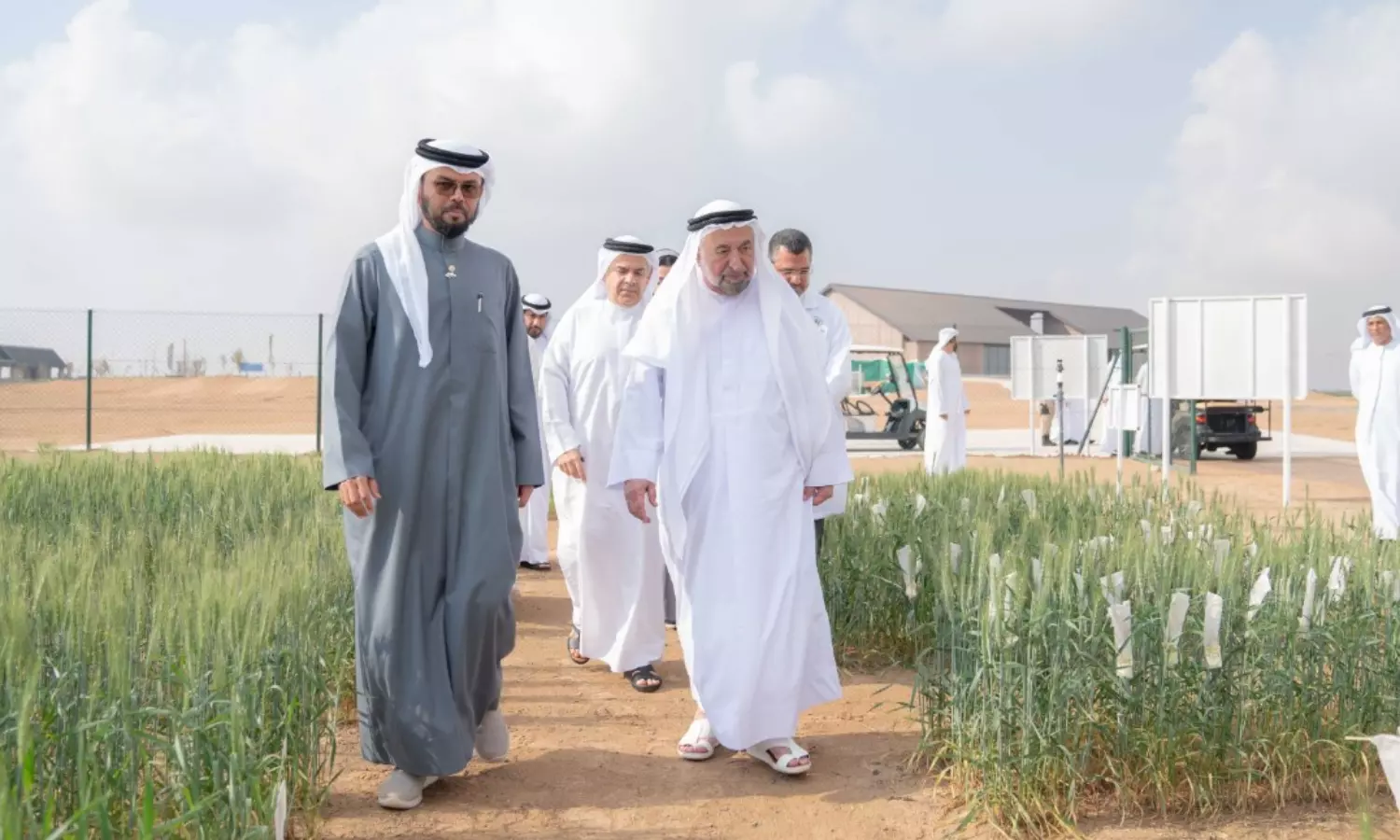 Sharjah Ruler inaugurates wheat farms second harvesting season in Mleiha