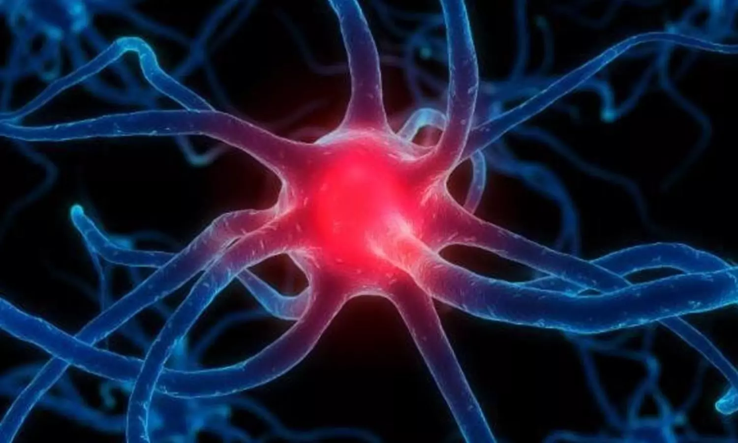 Indias rare diseases policy does not ensure affordability, access to patients