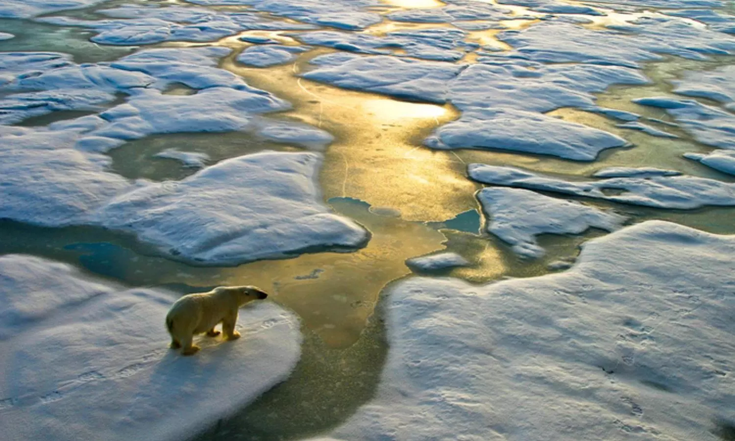 Reducing atmospheric vapour will cool down planet earth: study claims