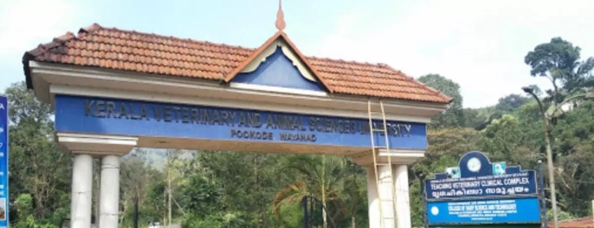 CBI to probe veterinary students death in Wayanad: Kerala govt