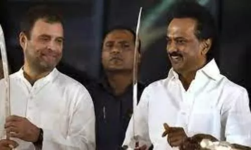 DMK