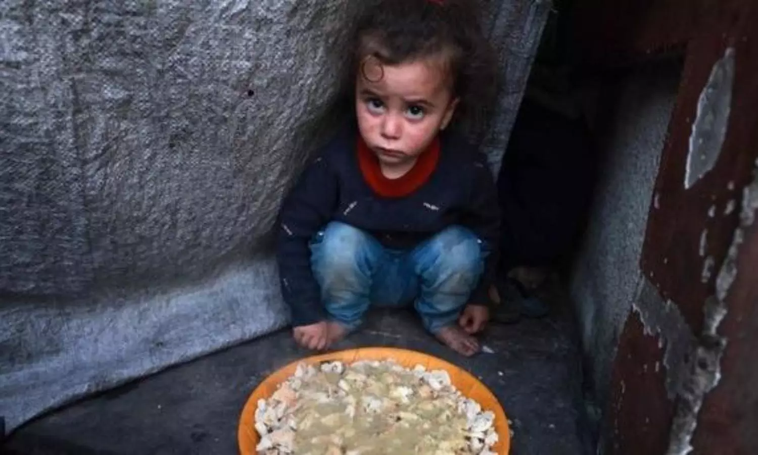 UN official says there are no more ‘normal-sized babies’ in Gaza