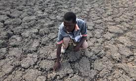 zimbabwe drought