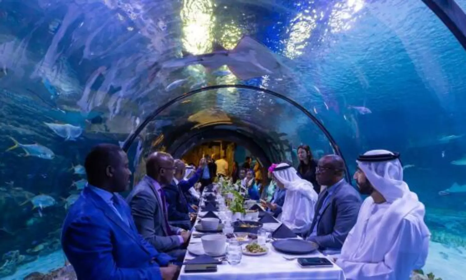 Abu Dhabis unique underwater Iftar showcases extremely rare sea cows