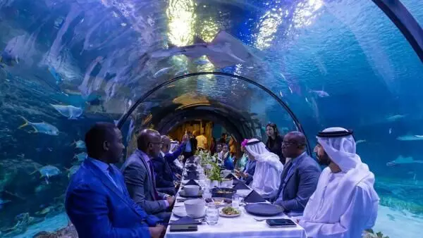 Abu Dhabis unique underwater Iftar showcases extremely rare sea cows
