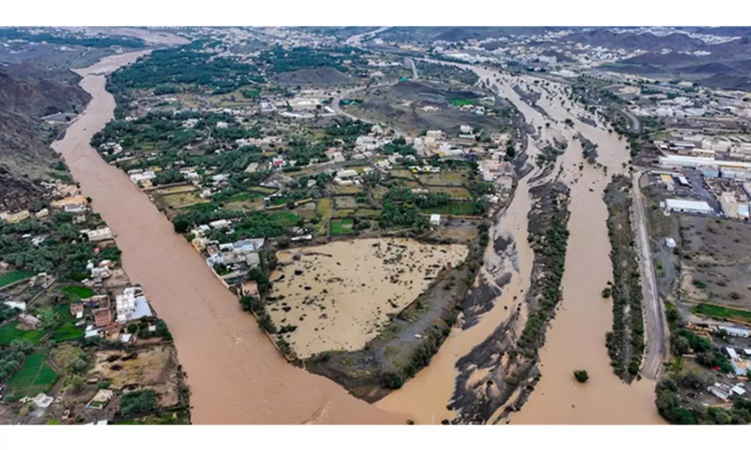 Heavy rains claim 19 lives in Oman