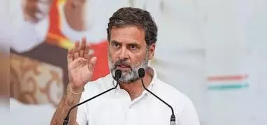 Rahul urges voters to open Mohabbat ki Dukaan in every corner of India