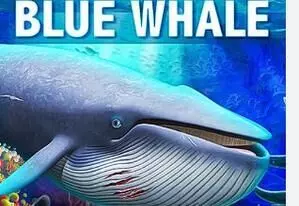 Indian student death in US may be related to Blue Whale suicide game