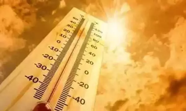 Heat wave: 5 dies in Karnatakas Raichur; moving car catches fire