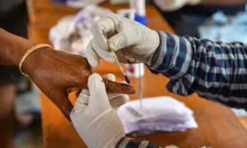 NRIs flock to Kerala ahead of Lok Sabha polls to cast vote