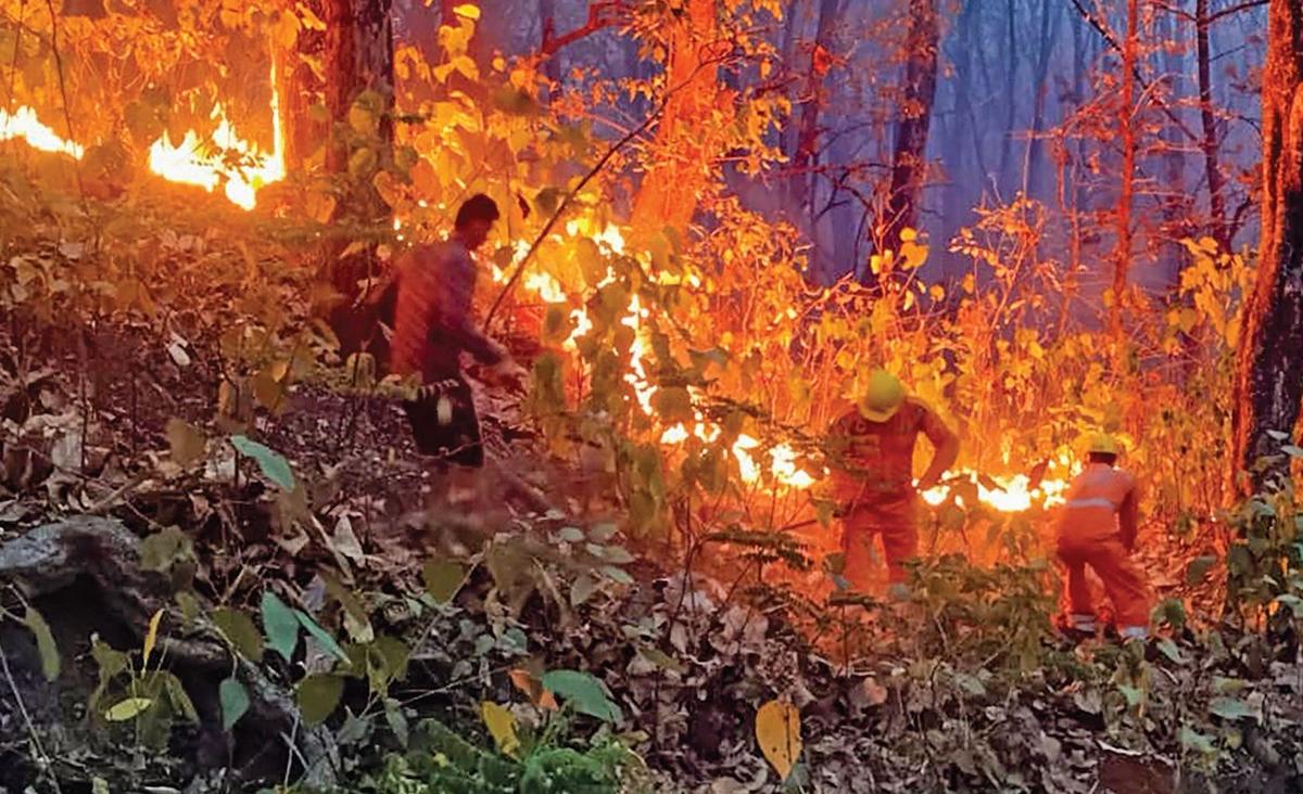 Forest fires in Uttarakhand spread to populated regions