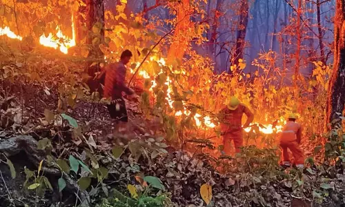 Forest fires in Uttarakhand spread to populated regions