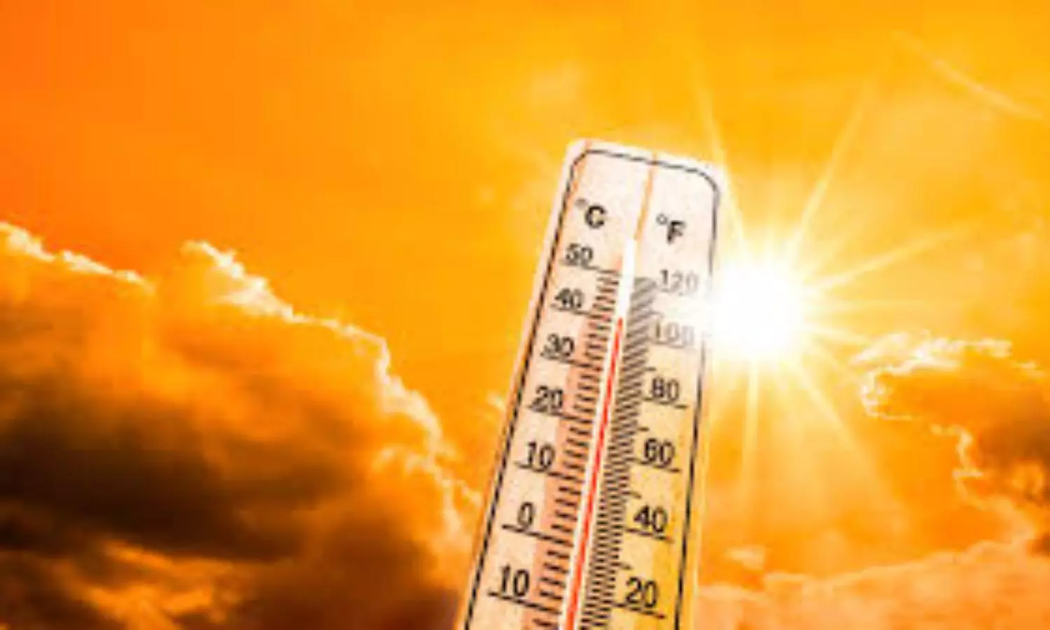 Heat wave emerges in Tamil Nadu: orange alert issued