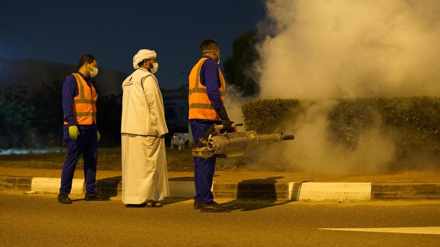 Dubai Municipality intensifies measures to control mosquitoes in parks and markets