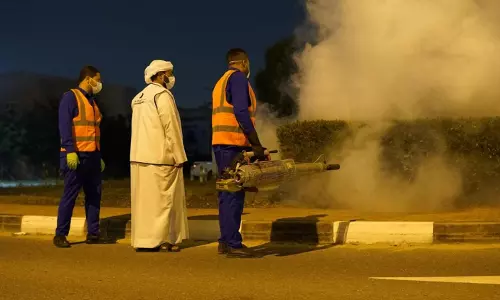 Dubai Municipality intensifies measures to control mosquitoes in parks and markets