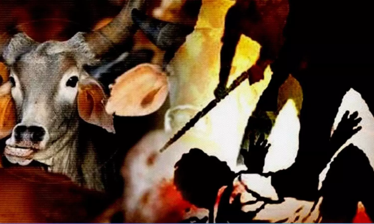 Muslim man killed by cow vigilantes in Gujarat, police downplay mob lynching