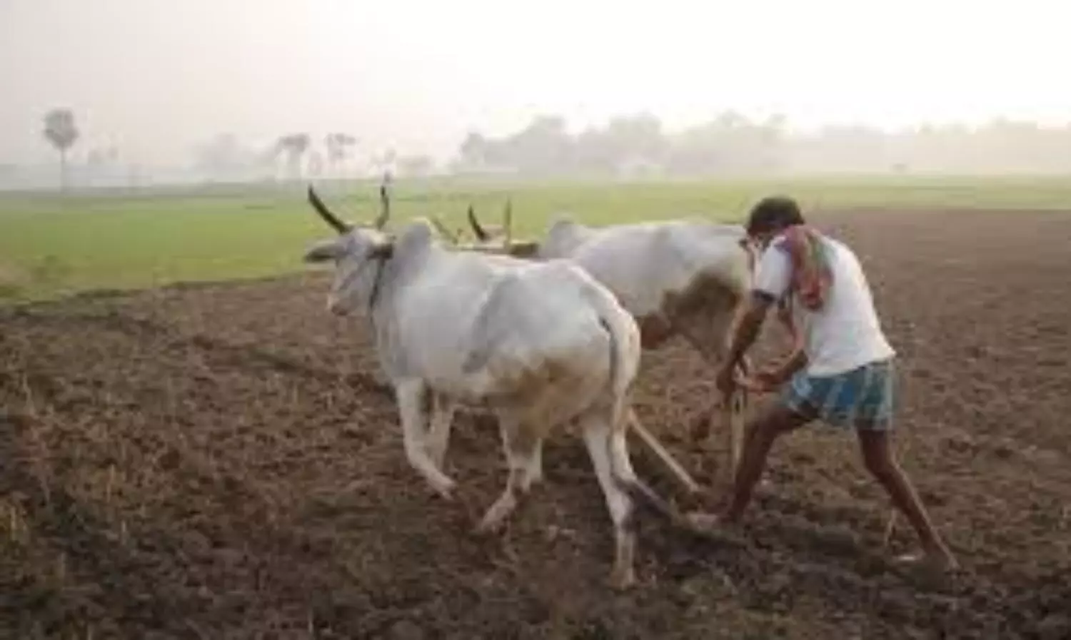 Farmers plight: Oppn-ruling party fight mounts in Telangana