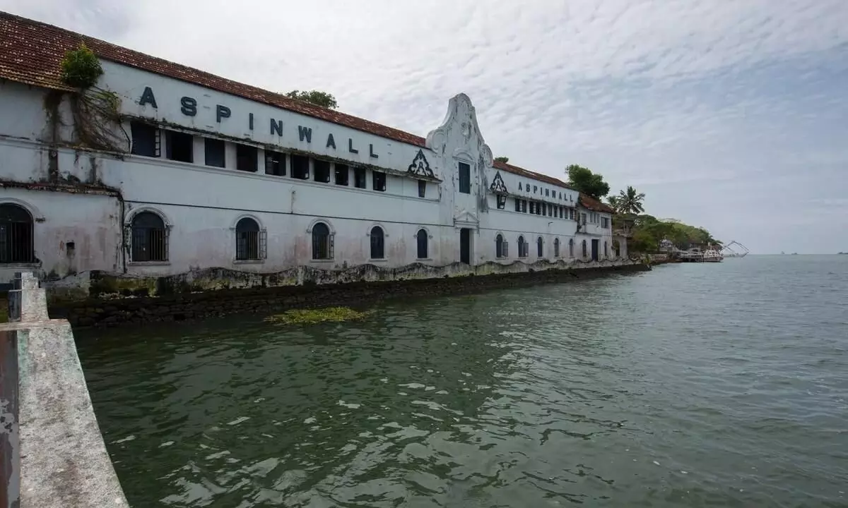 Uncertainty clouds 2024 Kochi-Muziris Biennale amid financial and venue crisis