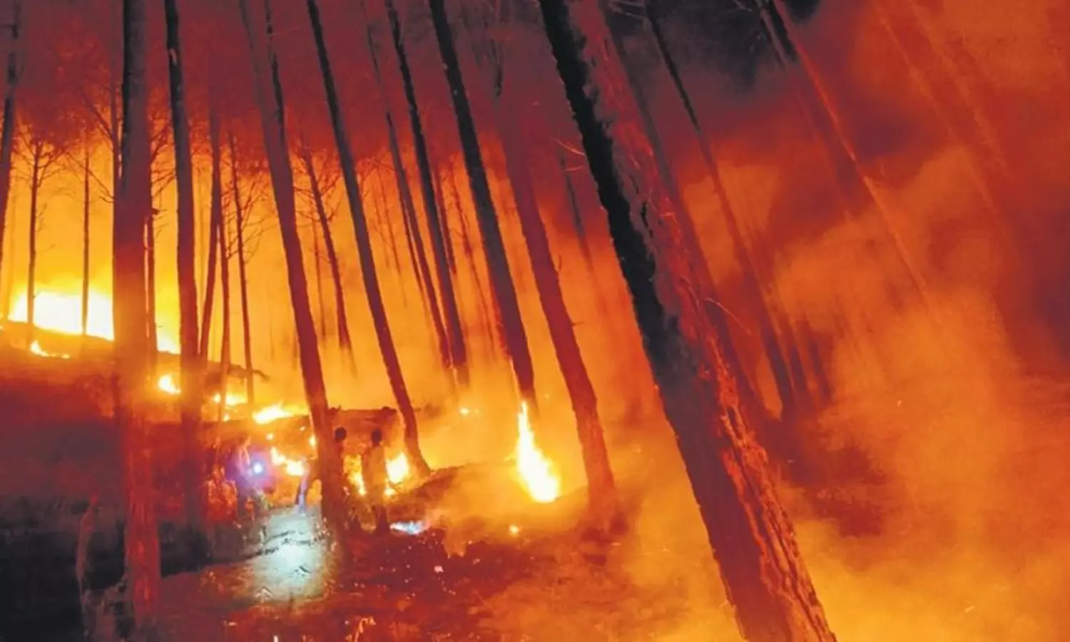 Uttarakhand forest fires rages from Uttarkashi to Yamunotri