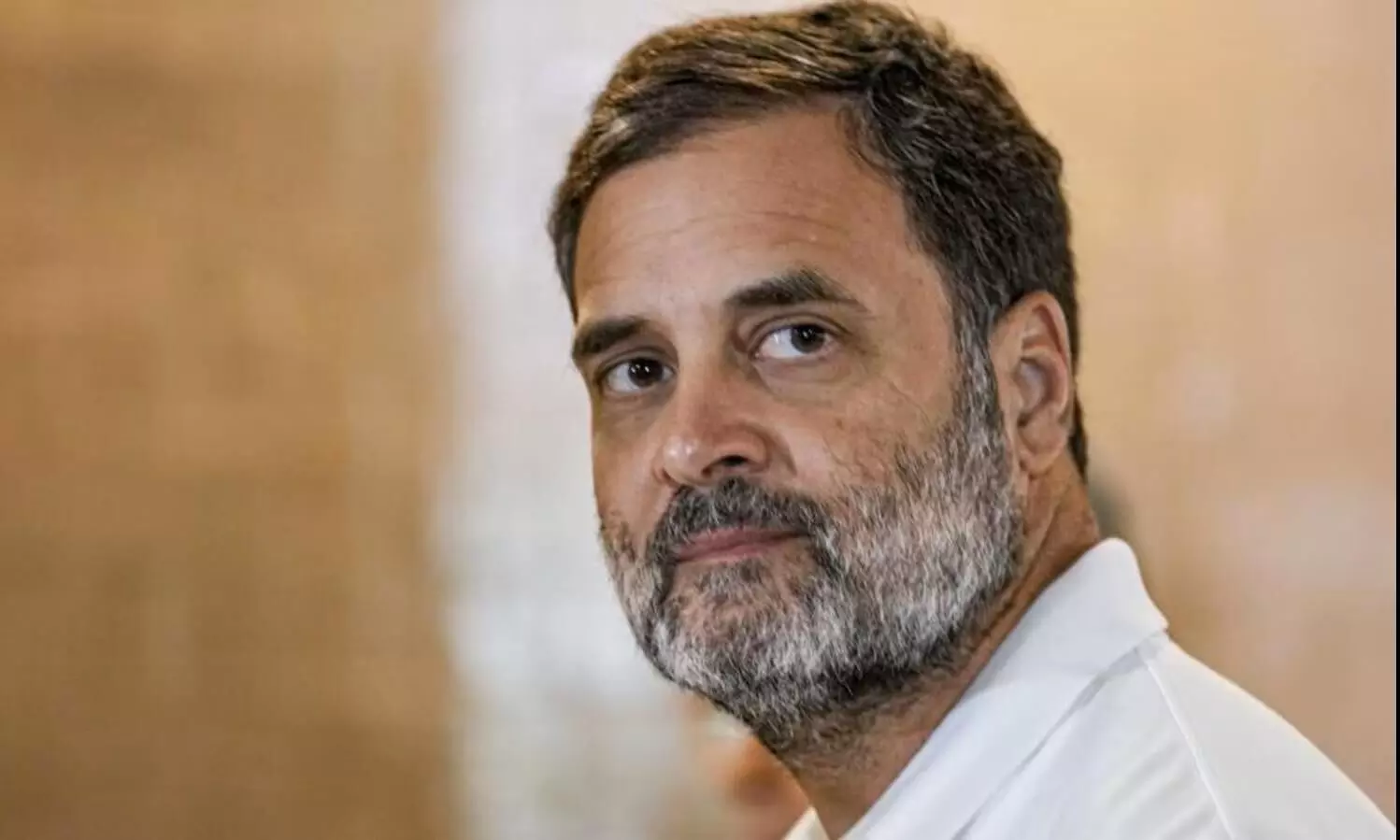 Congress resolution pushes for Rahul Gandhi as Leader of Opposition