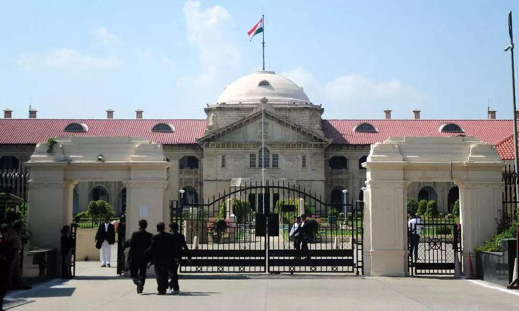 Adults have right to live with person of their choice: Allahabad HC