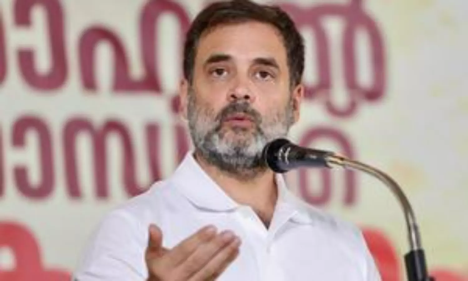 Rahul Gandhi torn between relinquishing Wayanad or Raebareli