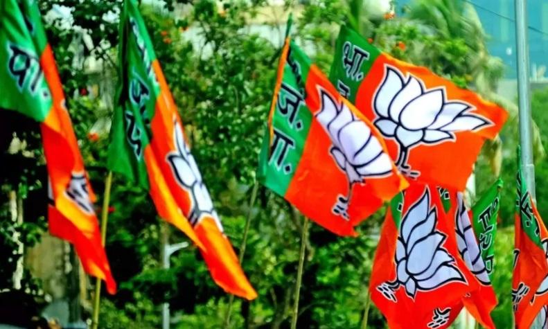 LS polls: BJP hits back at RSS leaders Lord Ram comment