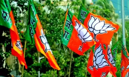 LS polls: BJP hits back at RSS leaders Lord Ram comment