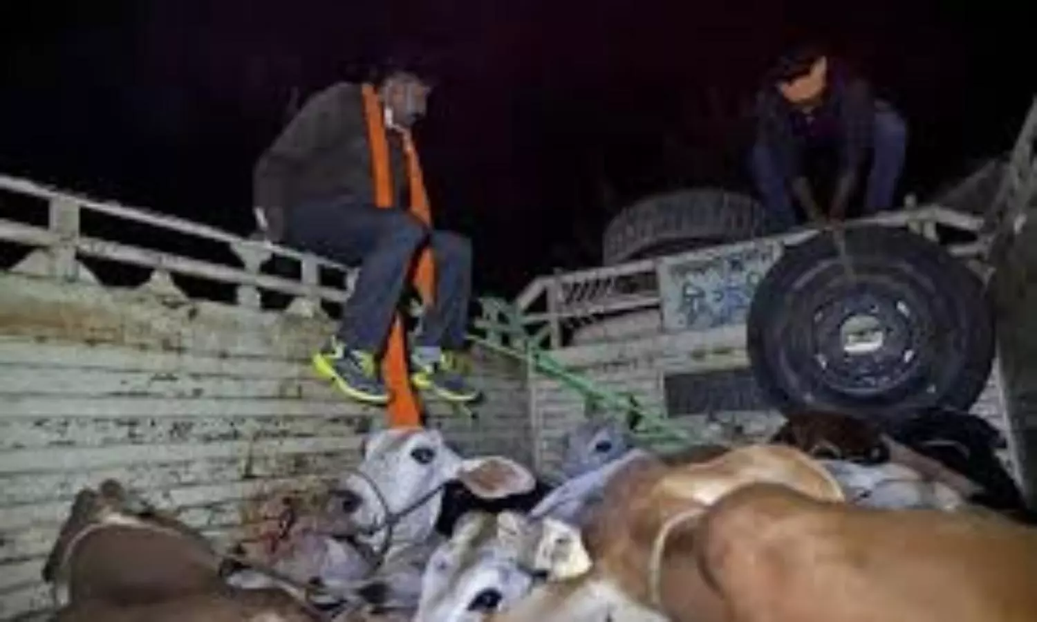 Communal clash erupts in Telangana over cow slaughter vigilante