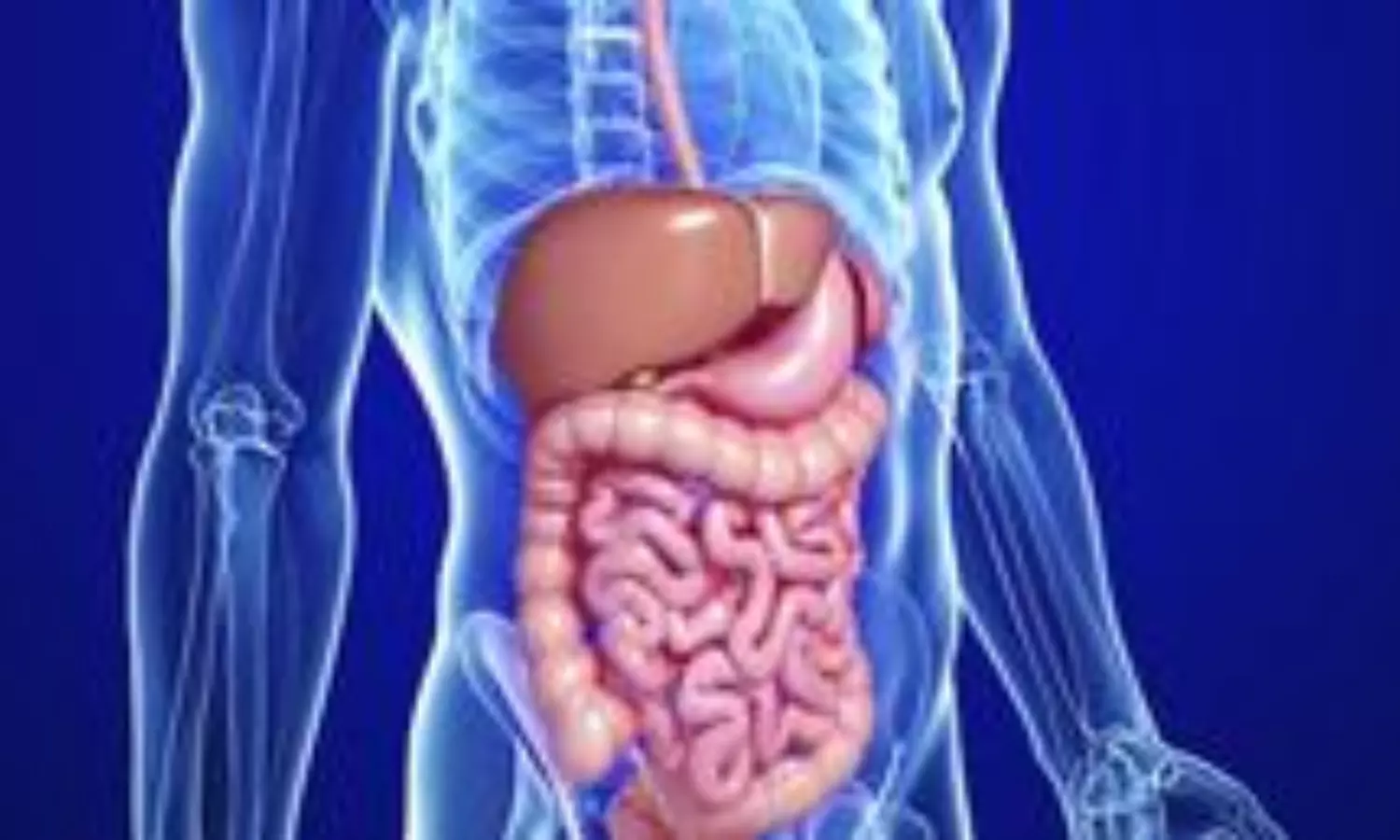 Research shows relation between neurodegenerative illnesses, gut microbiome