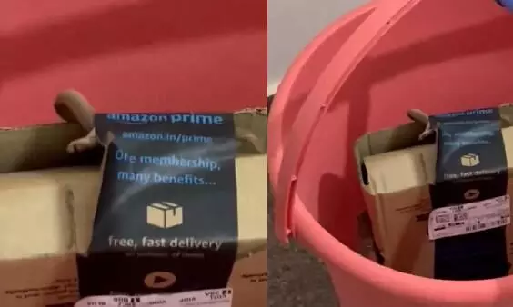 Shocking: Bengaluru woman gets live cobra in Amazon package