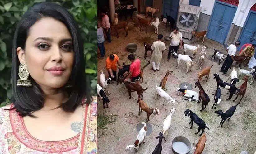 Jains, pretending Muslims, rescue goats on Eid: Swara Bhaskars dig