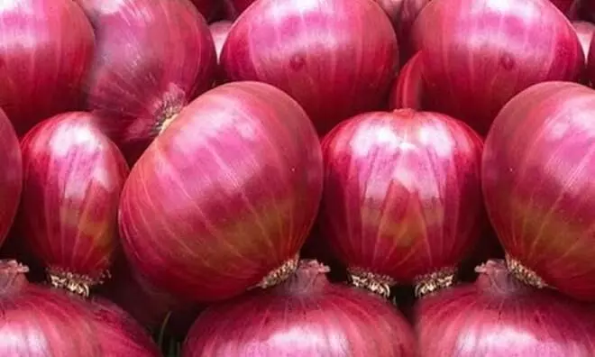Centre procures 71,000 tonnes of onion as buffer stock