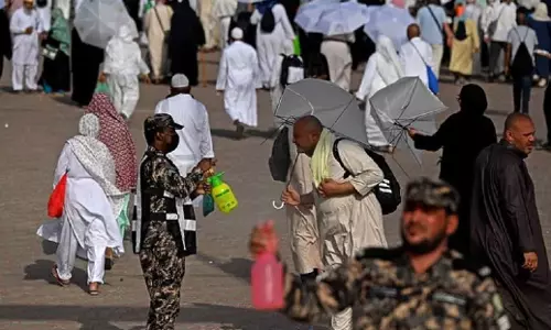 Over 1,300 fatalities reported during Hajj this year