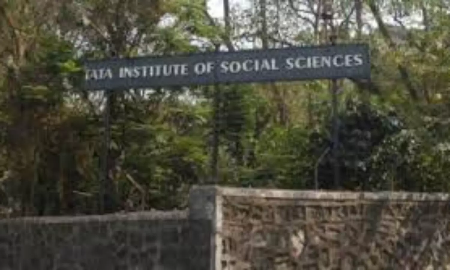 TISS reverses termination orders for over 100 contractual employees