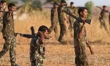 12 Maoists gunned down in Maharashtra-Chhattisgarh border, 2 cops injured