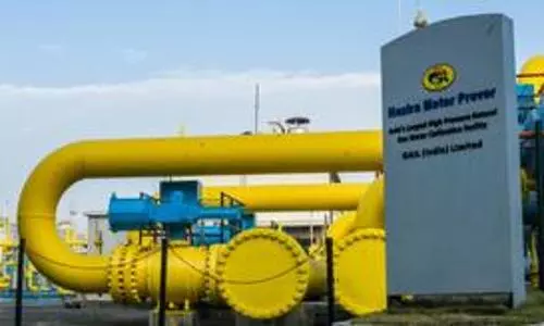 As more Indians switch to green fuel, consumption of natural gas rises by 7%