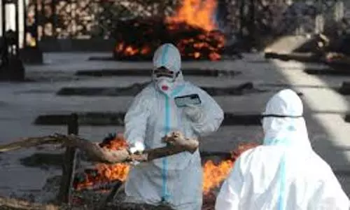 Govt. denounces study on excess Covid-19 mortality in India as misleading