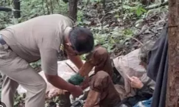 Woman found chained in Maharashtra Jungle with US passport in pocket