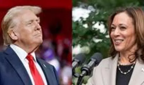 Harris, Trump battle out with multi-million dollar ad blitz